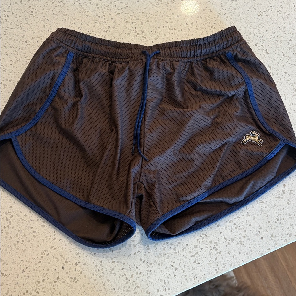 Tracksmith Brown Mesh Athletic Shorts